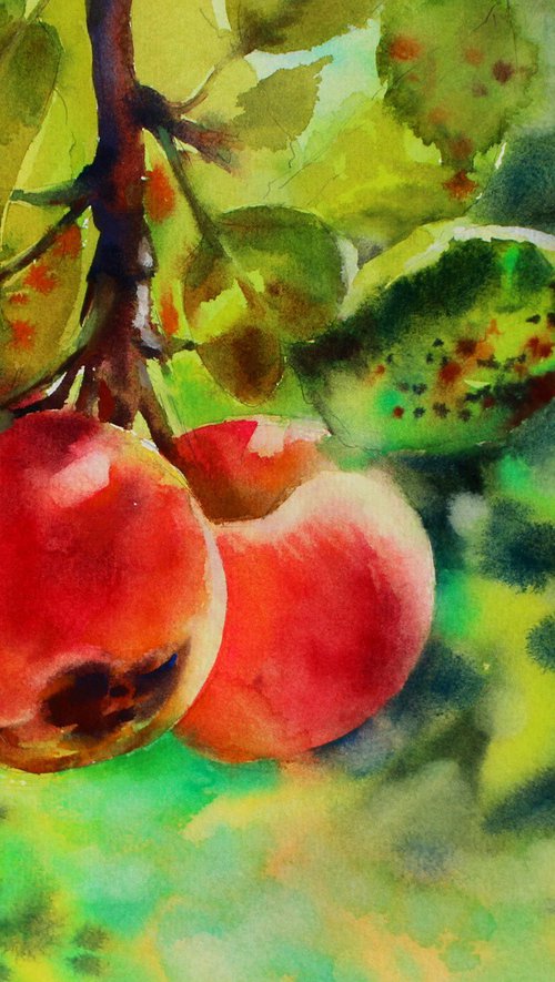 Colors of summer by Nadiia Dubei