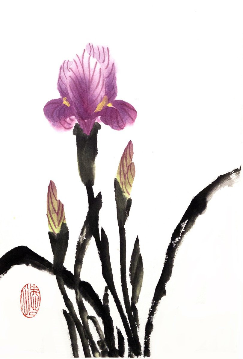 Impressionistic Botanical Ink Drawing By Ilana Shechter, 9 X 14, Purple Desert Sand Irus, Original Artwork