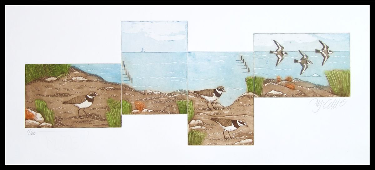 Plovers, aquatint etching by Mariann Johansen-Ellis