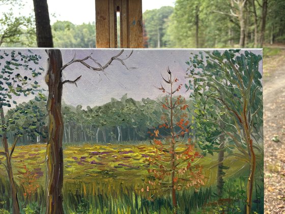 Dutch Forest Clearing. Plein air