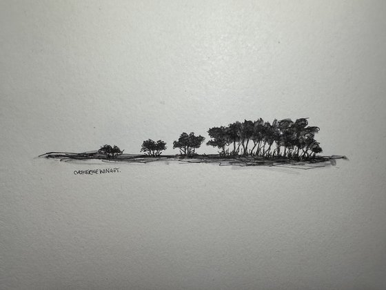 Trees in Pen and Ink - Norfolk Landscape English Countryside