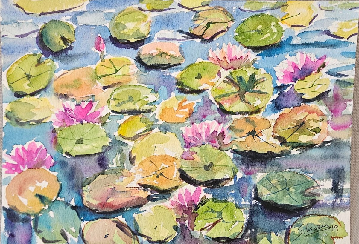 Water lilly pond II by Silvia Flores Vitiello