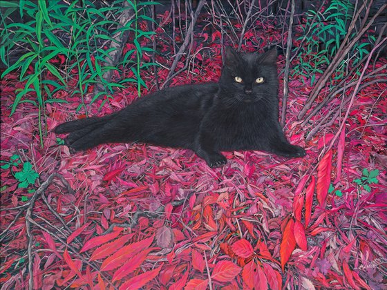 Black cat on a carpet of red leaves