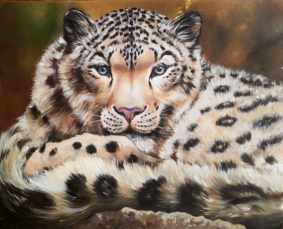 Photorealistic Oil Painting , Snow Leopard By Arti Chauhan, 26 X 22, Artwork For Sale On Artfinder