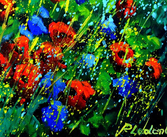 Flowers in Provence 44