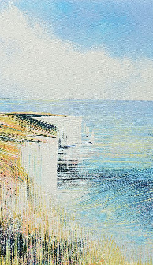 Dorset Coastal Cliffs In Bright Sunlight by Marc Todd