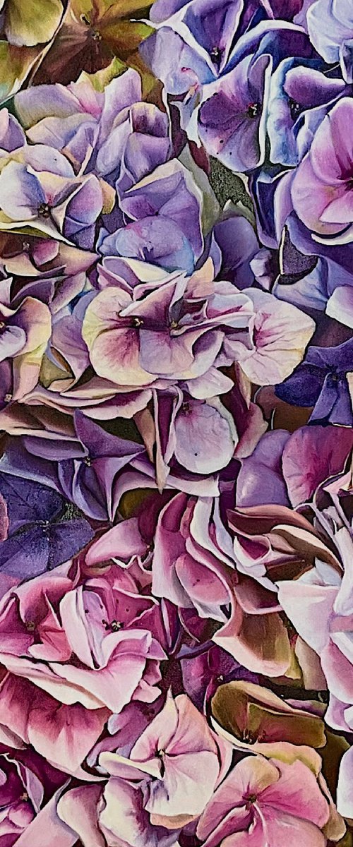 Awakening of the Hydrangea by Natalia Lugovskaya