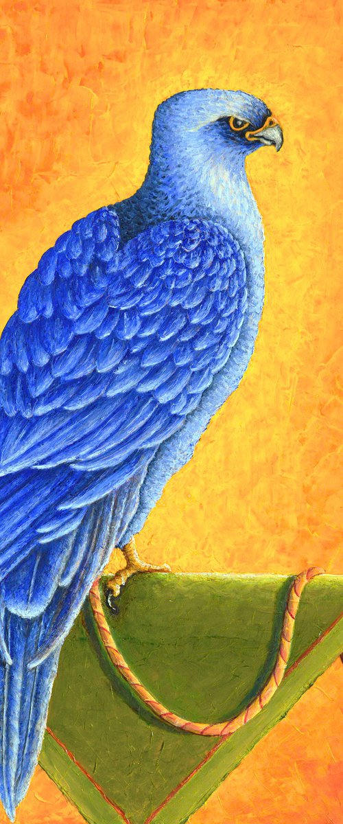 FALCO AZZURRO by Giuliano Monechi