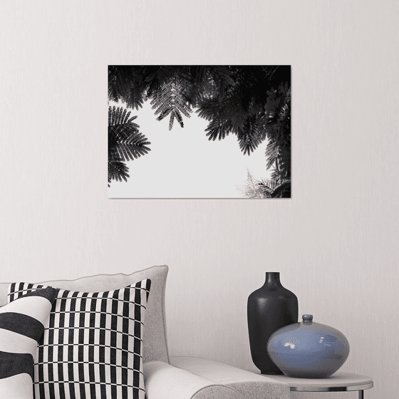 The Tree Top II | Limited Edition Fine Art Print 1 of 10 | 45 x 30 cm