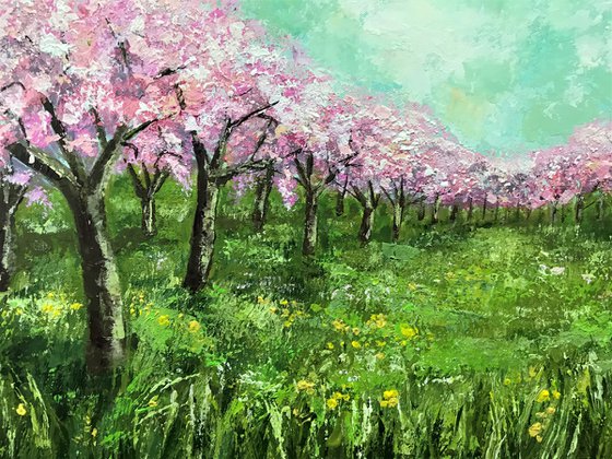 Orchard in Spring