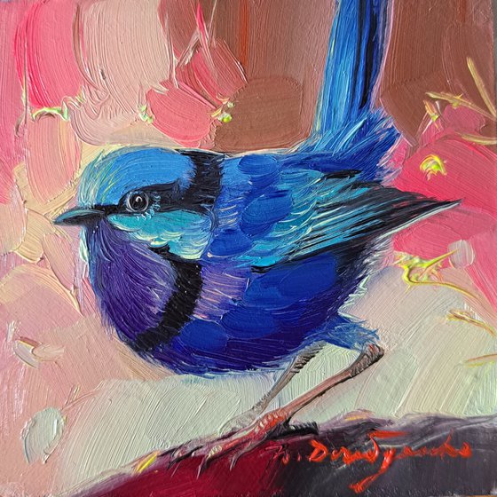 Fairy wren bird painting