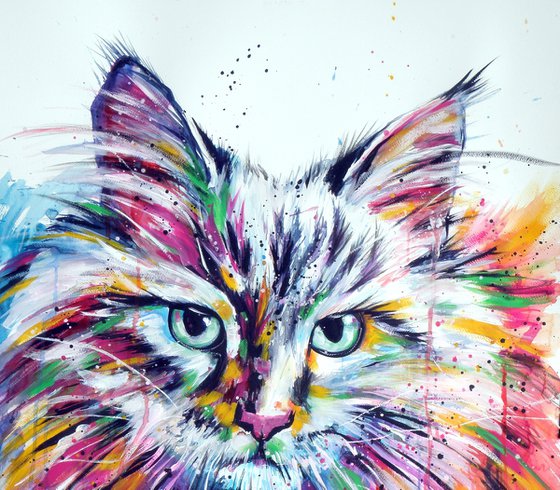 Colorful cat