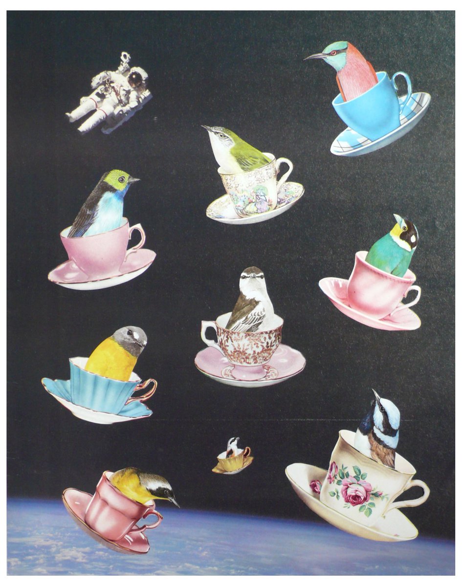 Flying Saucers with Birds in Space by Gina Ulgen