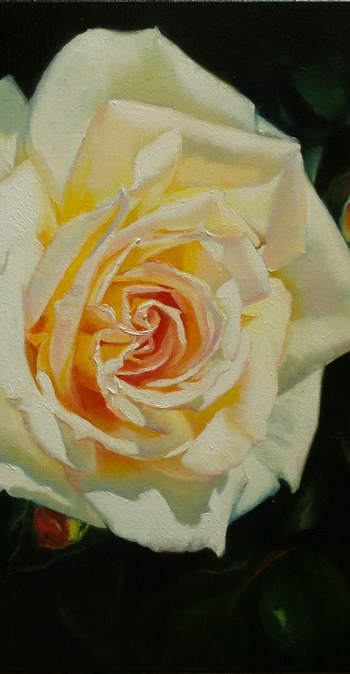Favorite Rose by Anna Bessonova (Kotelnik)