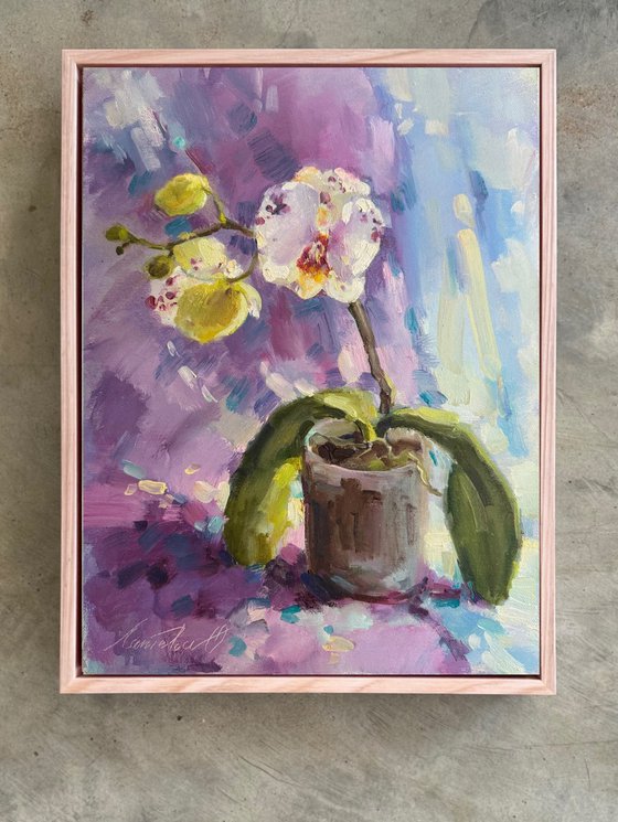 Orchid flower