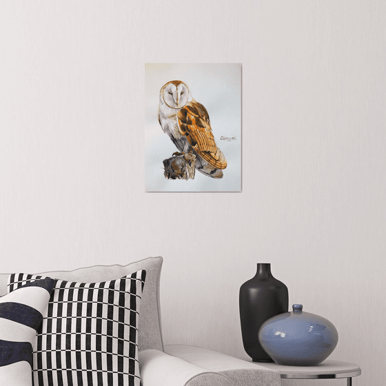 Owl from the collection "Watercolor birds"