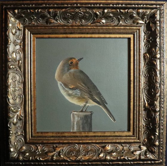 Lockdown's Morning Chorus Series - Red Robin, Bird Artwork, Animal Art Framed