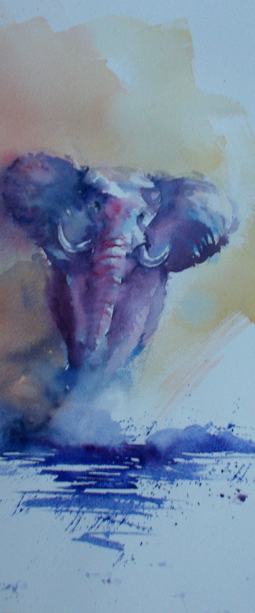 elephant 2 by Giorgio Gosti