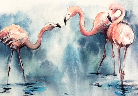 Flamingos
