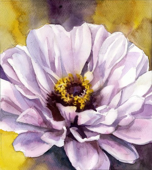pink zinnia watercolor floral by Alfred  Ng