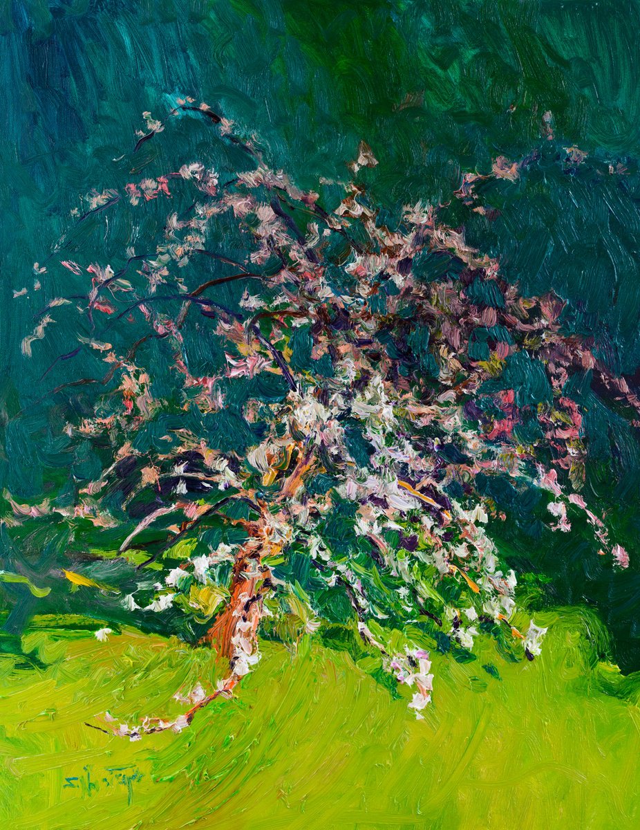 Blooming Apple By Suren Nersisyan, 22 X 28, Artwork For Sale On Artfinder
