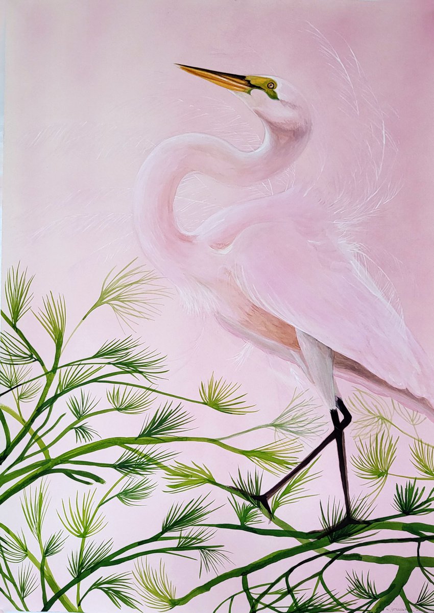 Pink pride by Kamila Strzeszewska
