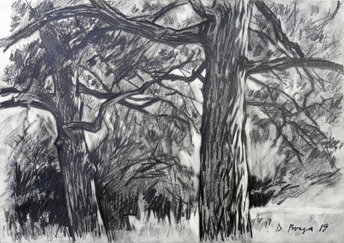 Old oaks ( plein air ) by Dima Braga