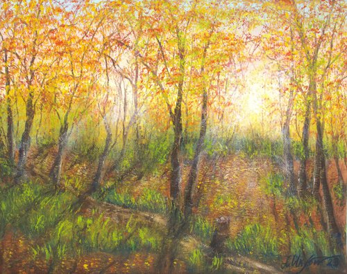 Fall forest by Ludmilla Ukrow