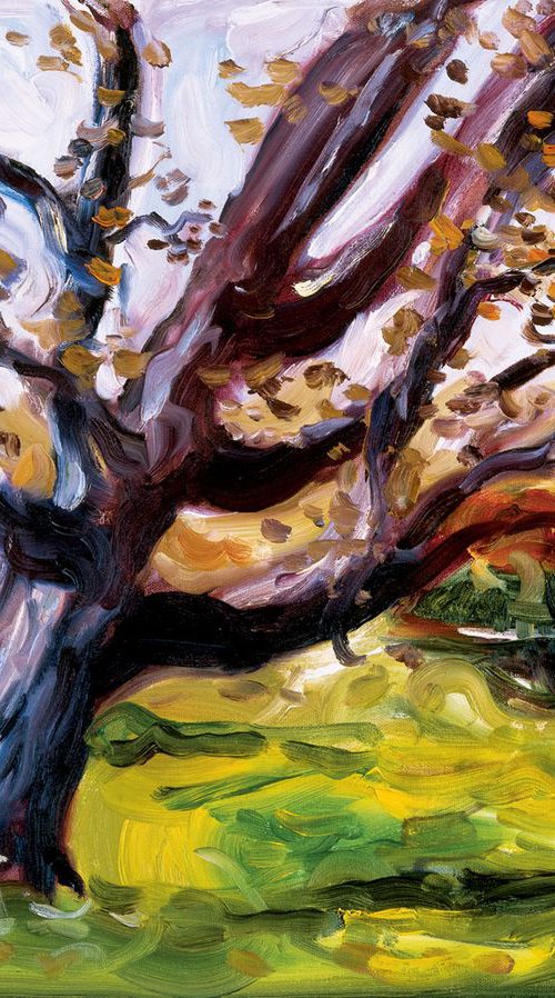 Tree on Angle by Bill Stone