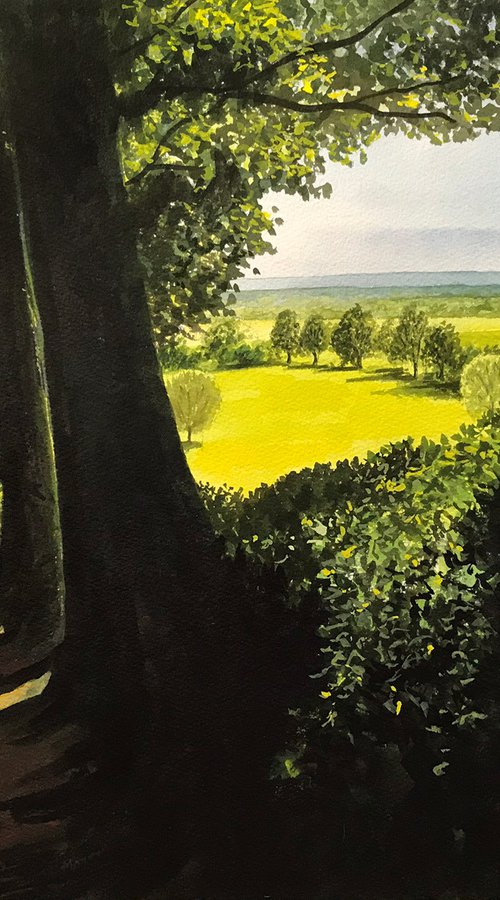 VIEW FROM CRAYKE LANE by D. P. Cooper