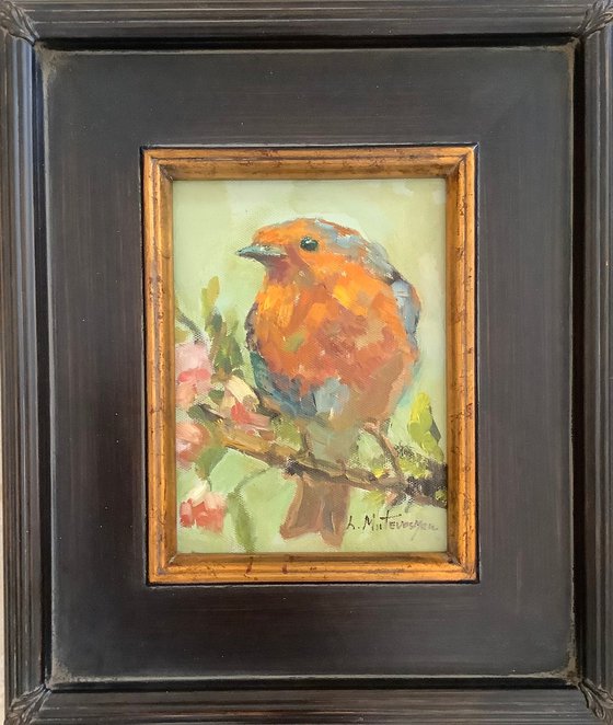 Bird