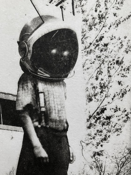 Terranaut VI