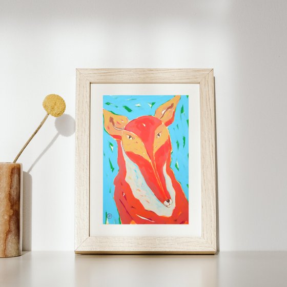 Red fox