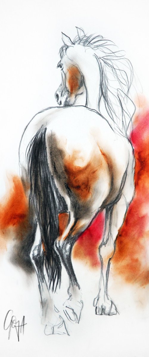 HORSE by Nicolas GOIA