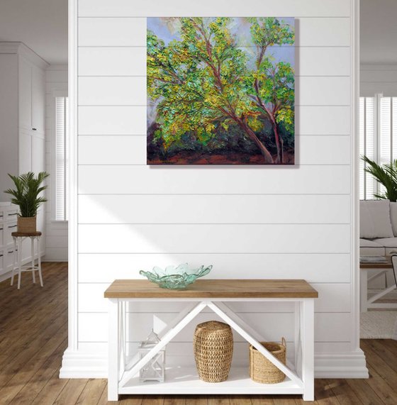 Mimosa Blooming Tree