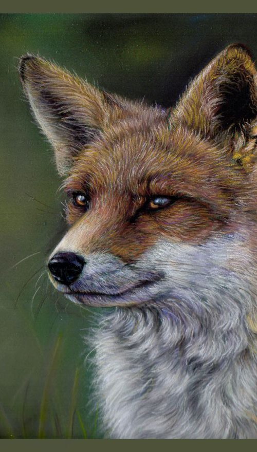 Fox by Tatjana Bril