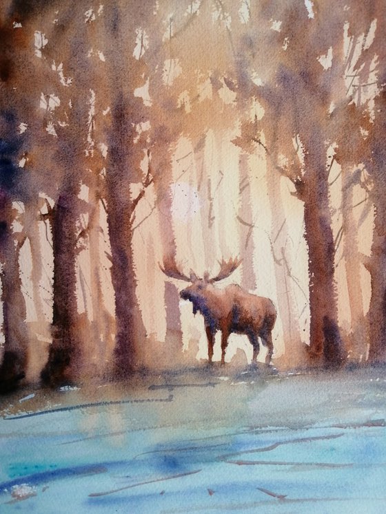 moose