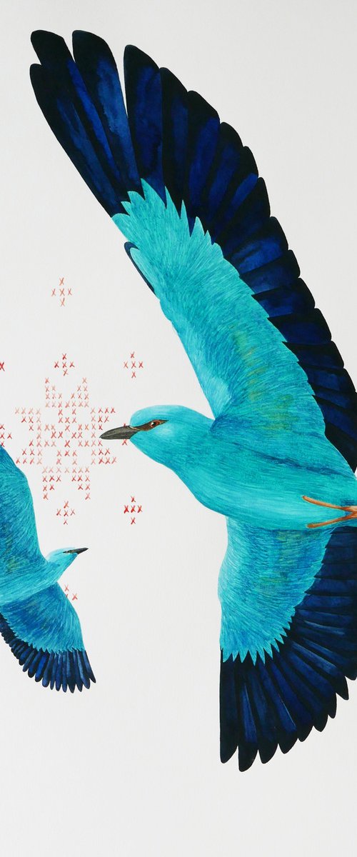 Re:connection - 2 European rollers meet each other by Karina Danylchuk