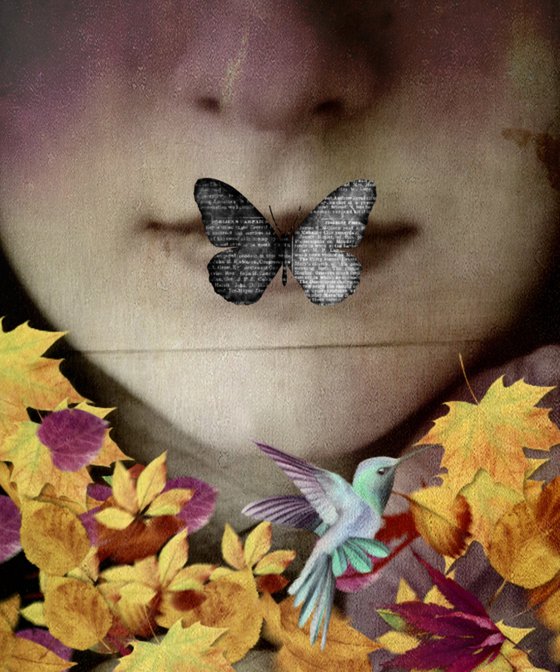 Black butterfly - Photography - Surreal - Manipulated