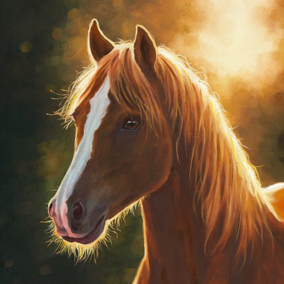 Brown horse portrait at sunset