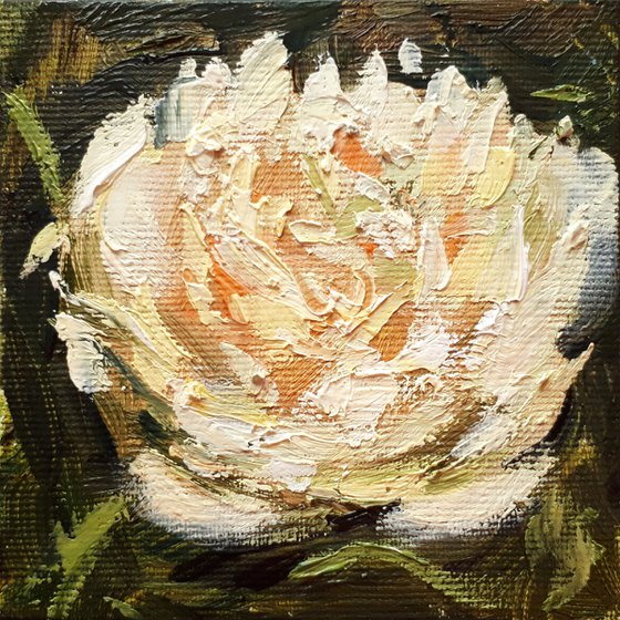 Peony 05... / FROM MY A SERIES OF MINI WORKS / ORIGINAL OIL PAINTING