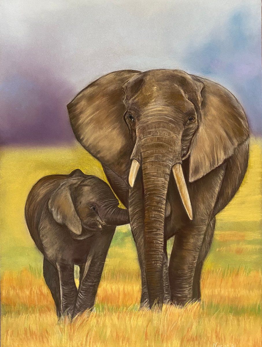 African elephants by Maxine Taylor