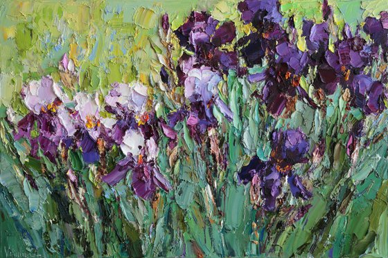 Blooming Irises