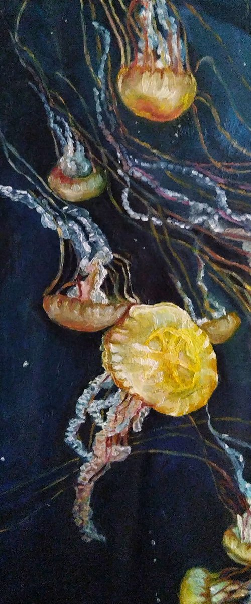 Sea nettle by Viktória Déri