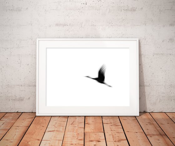 Crane(s) I | Limited Edition Fine Art Print 1 of 10 | 90 x 60 cm