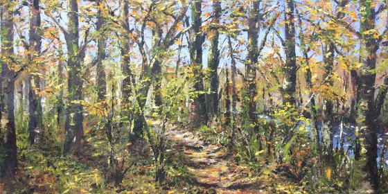 Dunsford Woods, Autumn (large ready to hang oil painting)