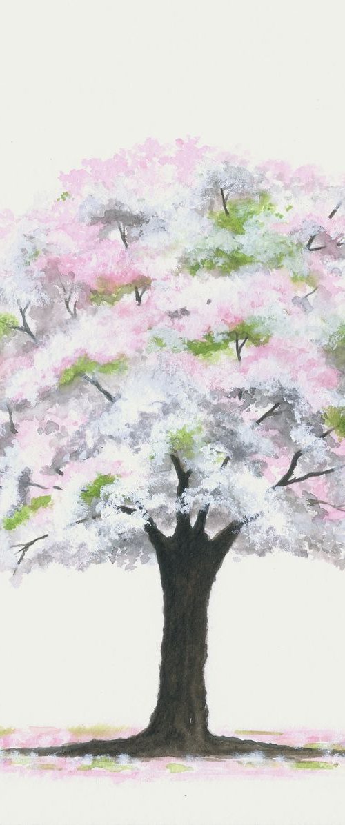 Cherry Blossom by Shweta  Mahajan