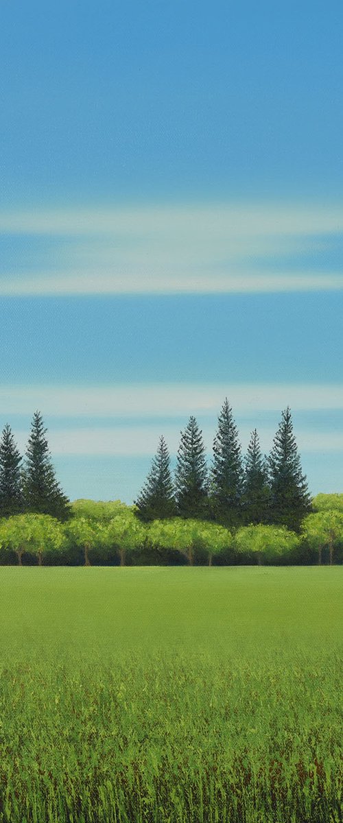 Tree Line - Blue Sky Landscape by Suzanne Vaughan