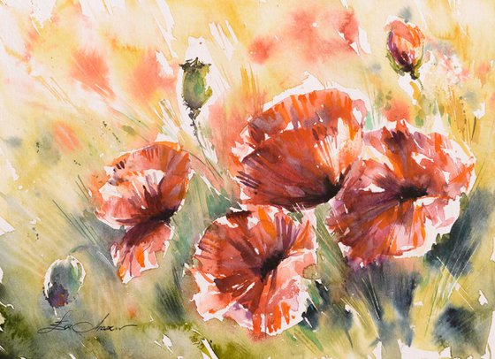 Red poppies