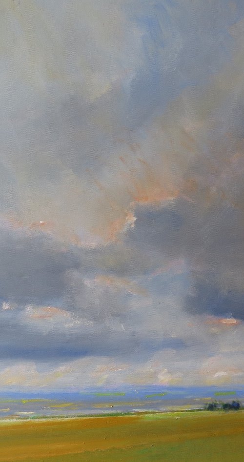 Yorkshire Wolds,  June 14 by Malcolm Ludvigsen